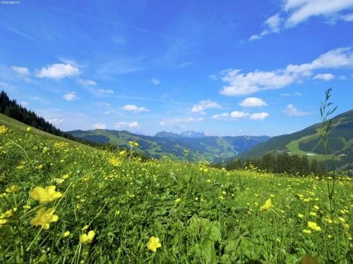 Outdoor Pictures 15