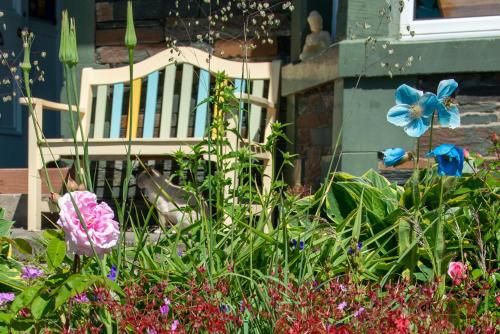 Outdoor Pictures 22