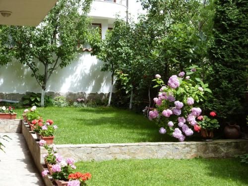 Outdoor Pictures 21