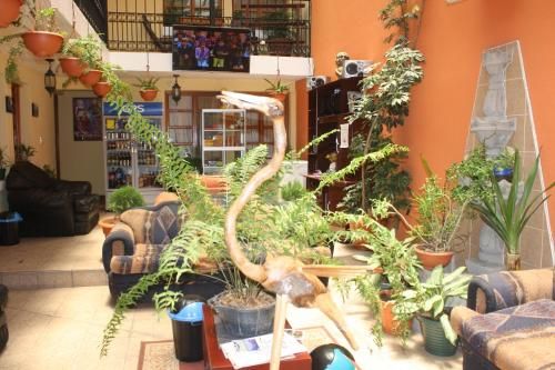 Outdoor Pictures 15