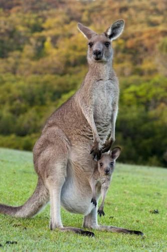 Outdoor Pictures 22