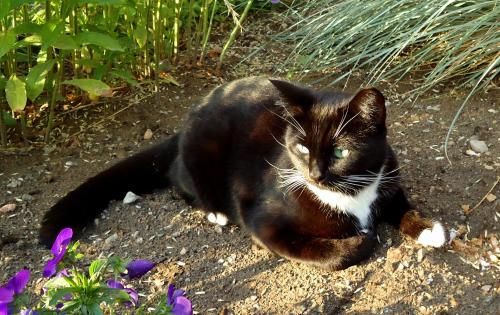 Outdoor Pictures 18