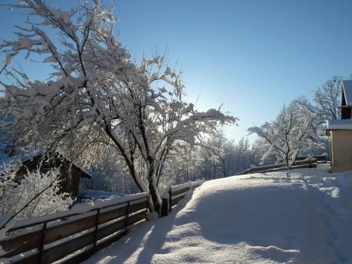 Outdoor Pictures 20
