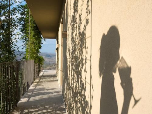 Outdoor Pictures 17