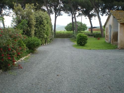 Outdoor Pictures 10