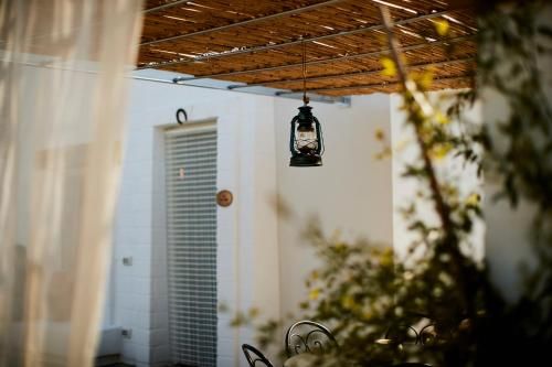 Outdoor Pictures 18