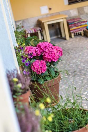 Outdoor Pictures 24