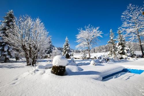 Outdoor Pictures 16