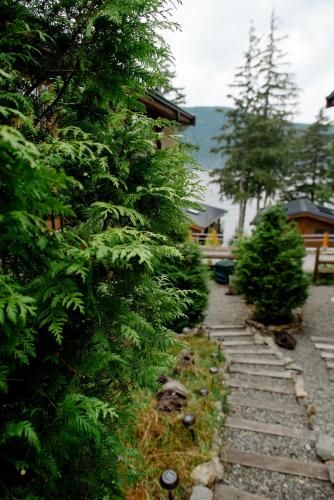 Outdoor Pictures 22