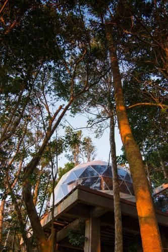 Chira Glamping Monteverde