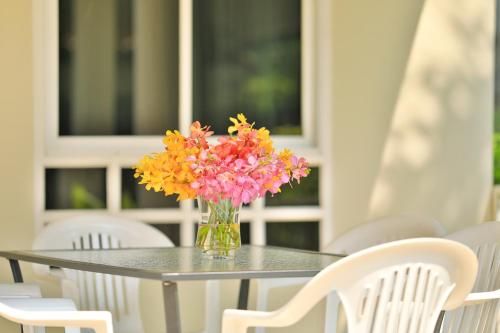 Outdoor Pictures 6
