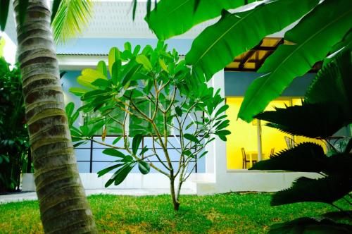 Outdoor Pictures 24