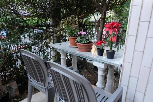 Outdoor Pictures 20