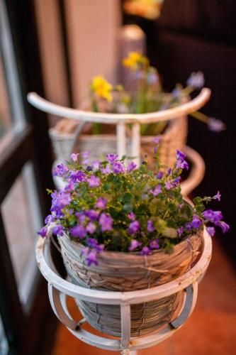 Outdoor Pictures 15