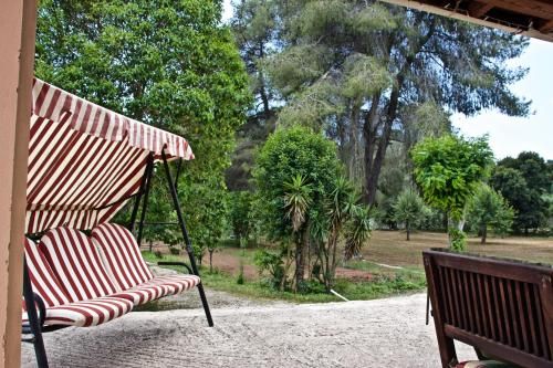 Outdoor Pictures 19