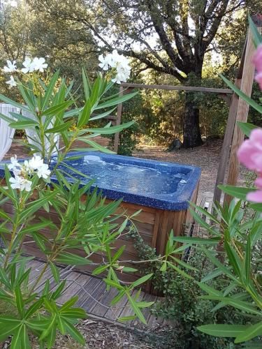 Outdoor Pictures 19