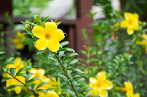 Outdoor Pictures 22