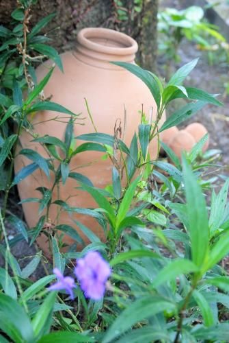 Outdoor Pictures 21