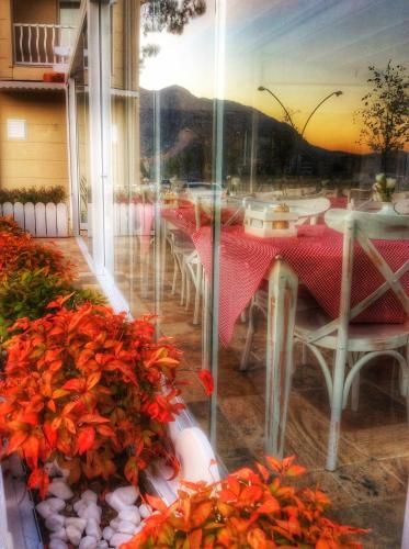 Outdoor Pictures 20