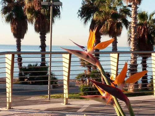 Outdoor Pictures 22