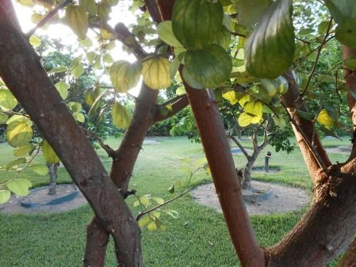 Outdoor Pictures 8
