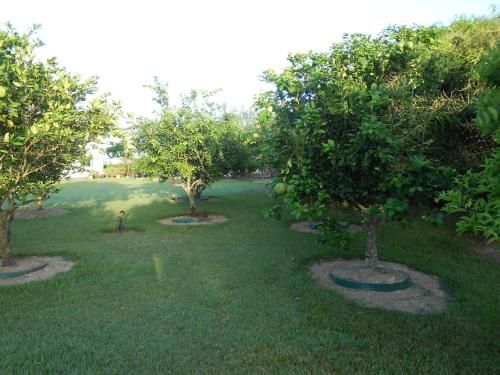 Outdoor Pictures 10