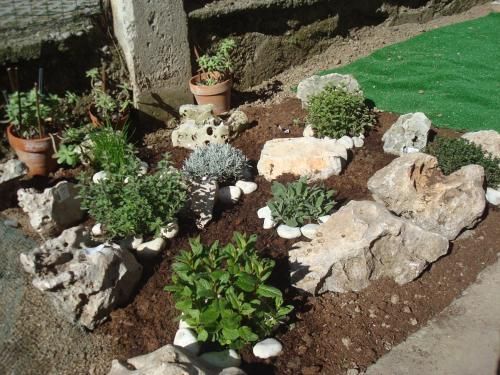 Outdoor Pictures 7