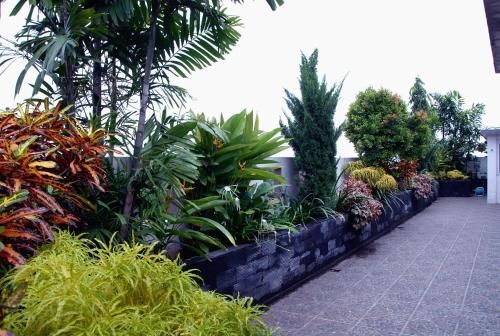 Outdoor Pictures 21