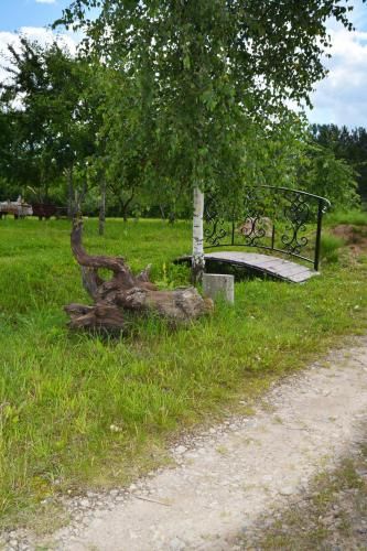 Outdoor Pictures 20
