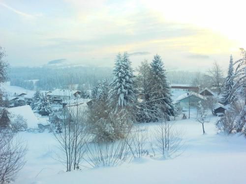 Outdoor Pictures 10