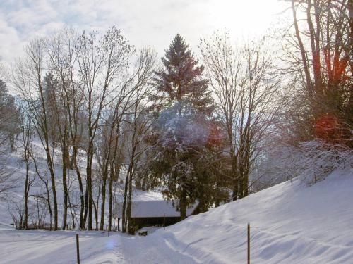Outdoor Pictures 11