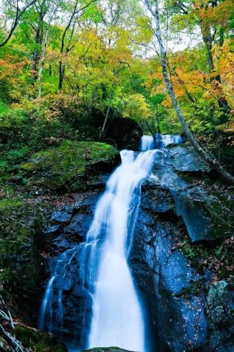 Outdoor Pictures 19