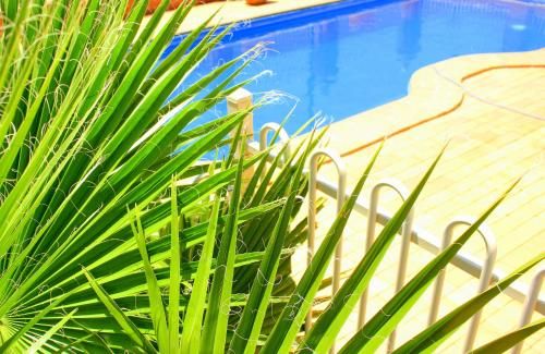 Outdoor Pictures 13