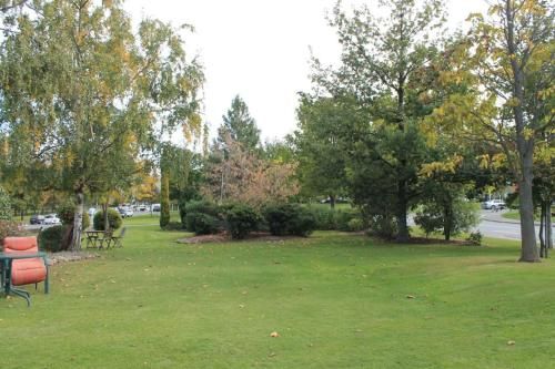 Outdoor Pictures 19