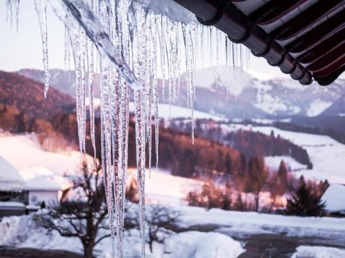 Outdoor Pictures 21