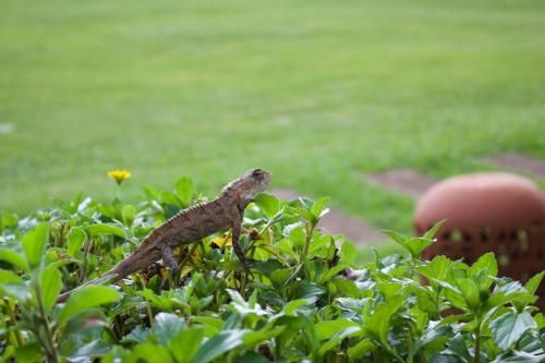 Outdoor Pictures 21
