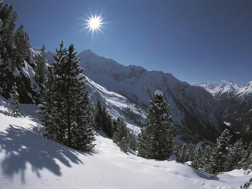 Outdoor Pictures 23