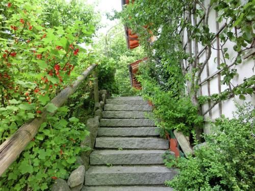 Outdoor Pictures 6