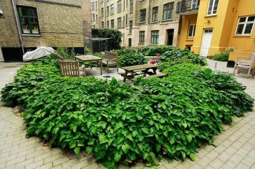 Outdoor Pictures 20