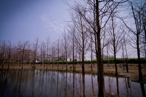 Outdoor Pictures 2