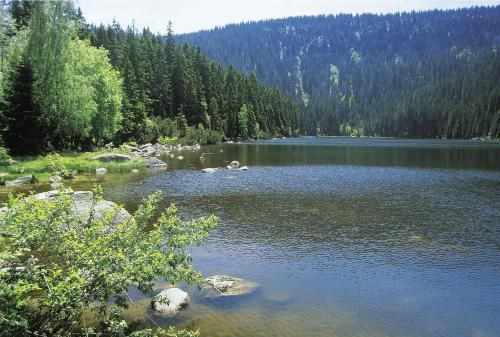 Outdoor Pictures 20