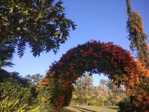 Outdoor Pictures 21