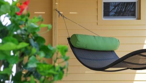 Outdoor Pictures 6