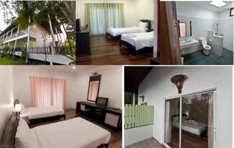 Tree House Hotel