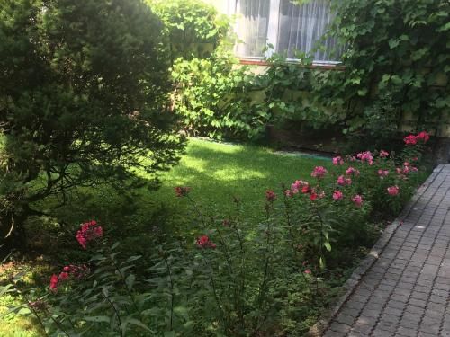 Outdoor Pictures 22