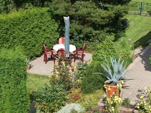 Outdoor Pictures 11