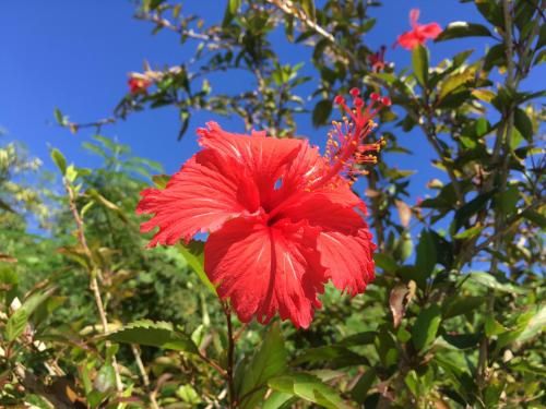 Outdoor Pictures 22