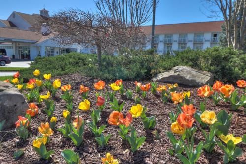 Outdoor Pictures 20