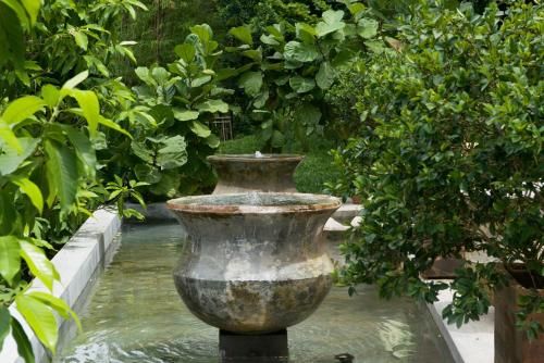 Outdoor Pictures 20
