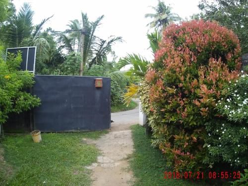 Outdoor Pictures 22